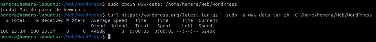 Téléchargement de WordPress sur serveur local